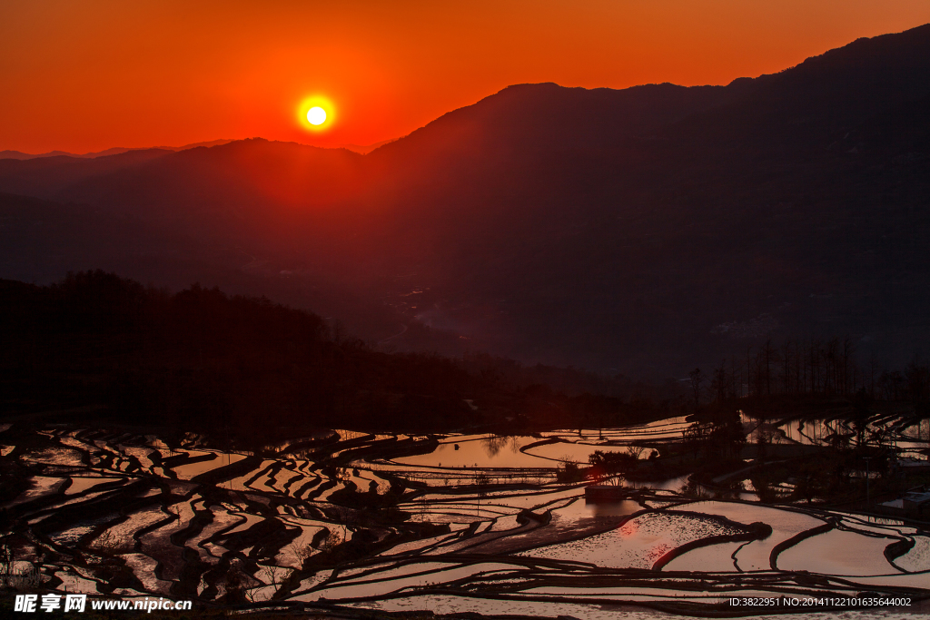 元阳梯田风景