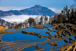 元阳梯田风景