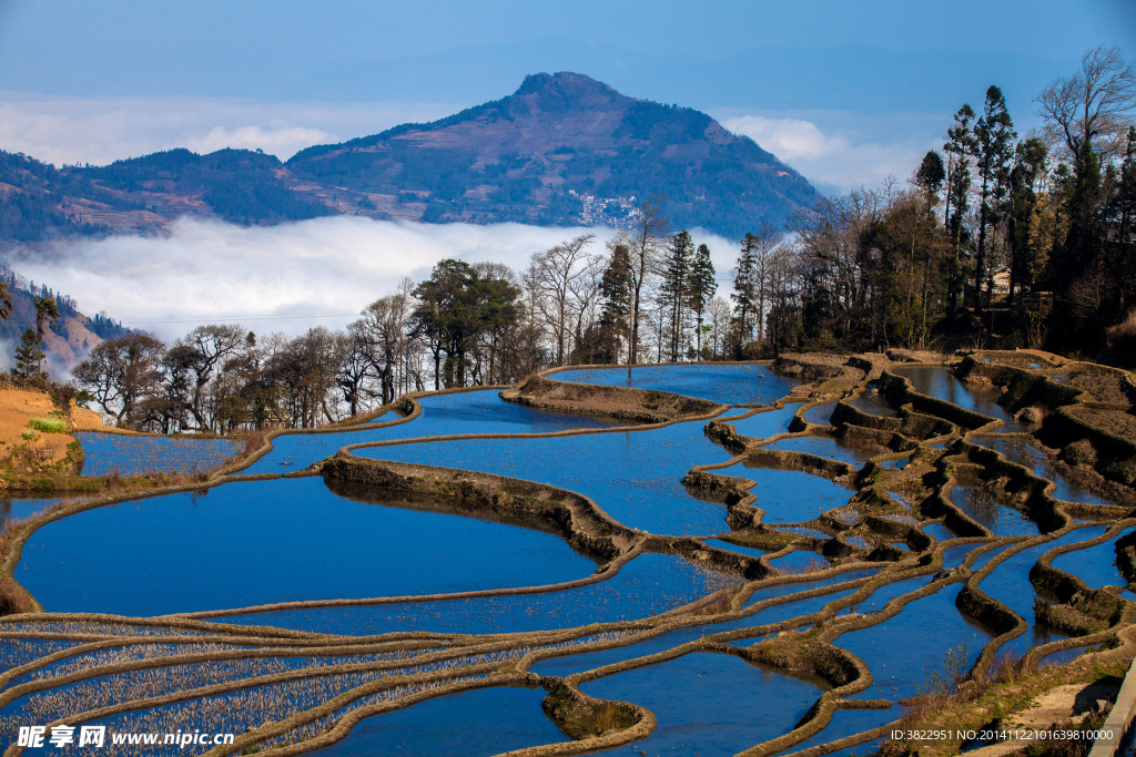 元阳梯田风景