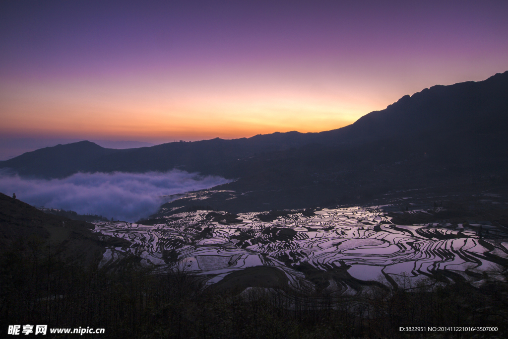元阳梯田风景