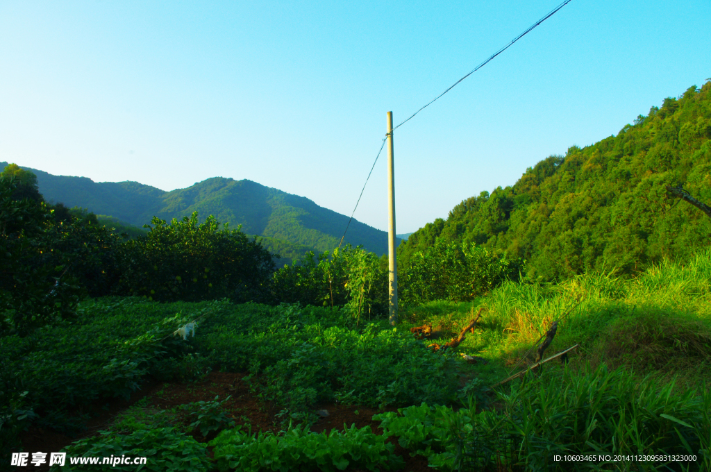 山水 深山农庄