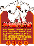 羊羔羊肉营养菜谱简洁