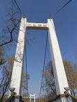 峡谷索桥