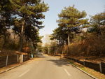 公园小路