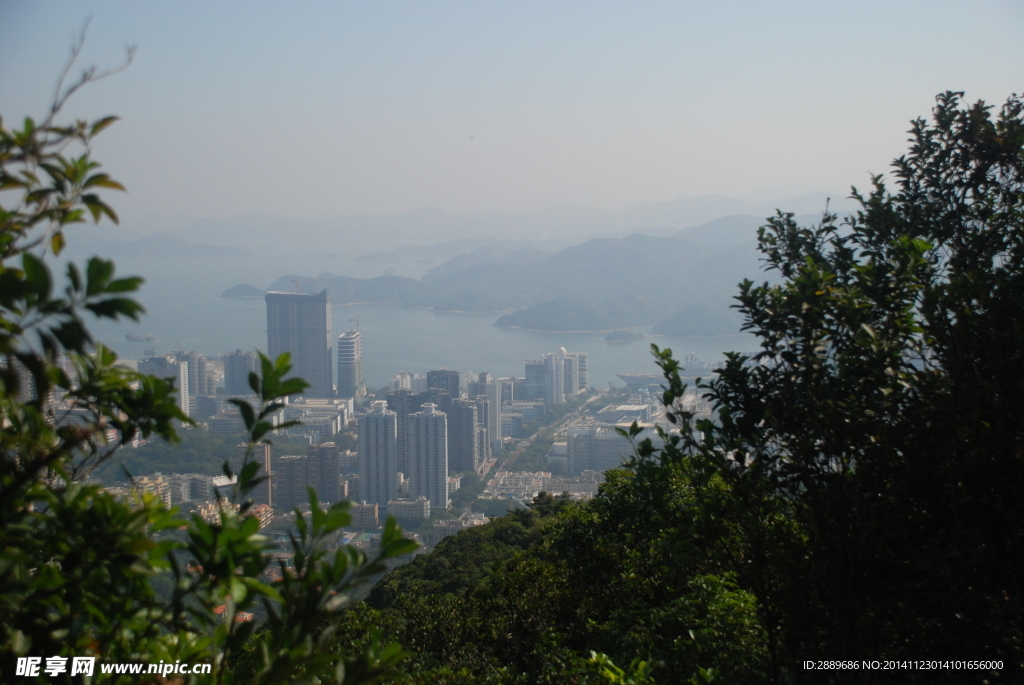 梧桐山