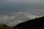 梧桐山