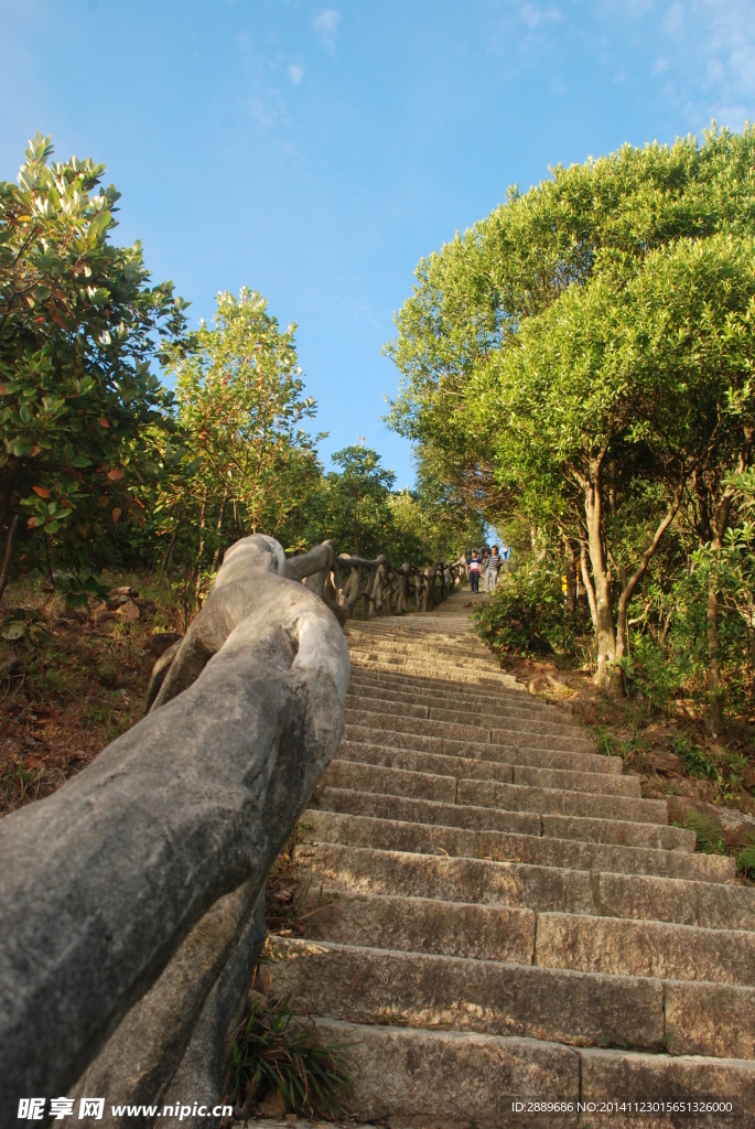 梧桐山