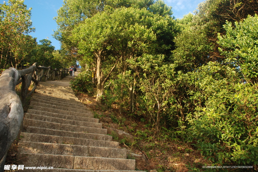 梧桐山