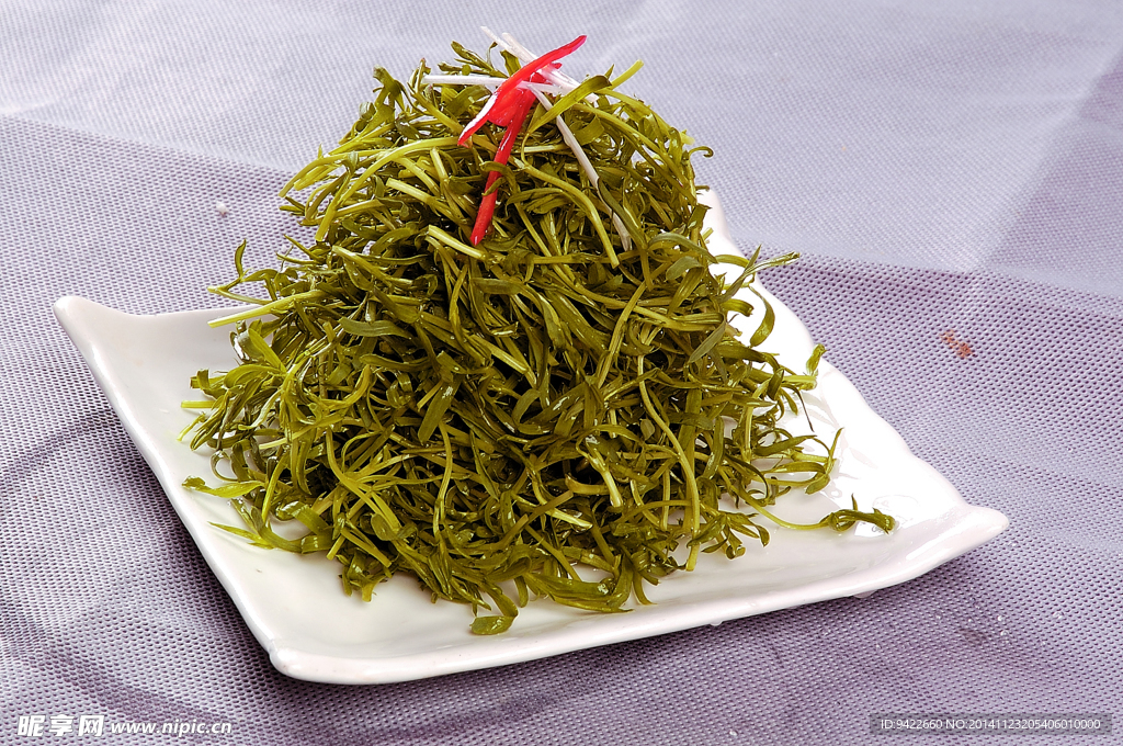 清爽苦菊苗