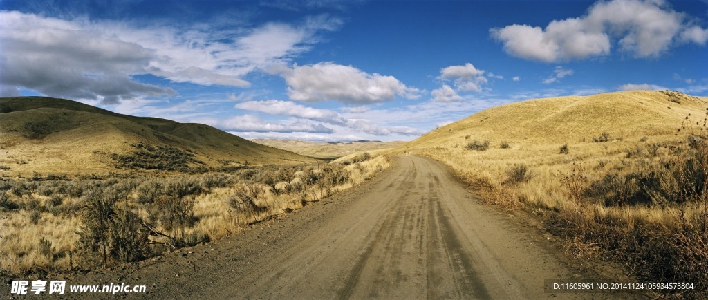 道路
