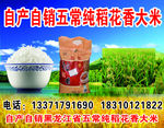 自产自销五常大米