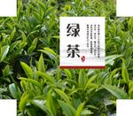绿茶