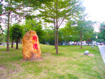 悠闲场景
