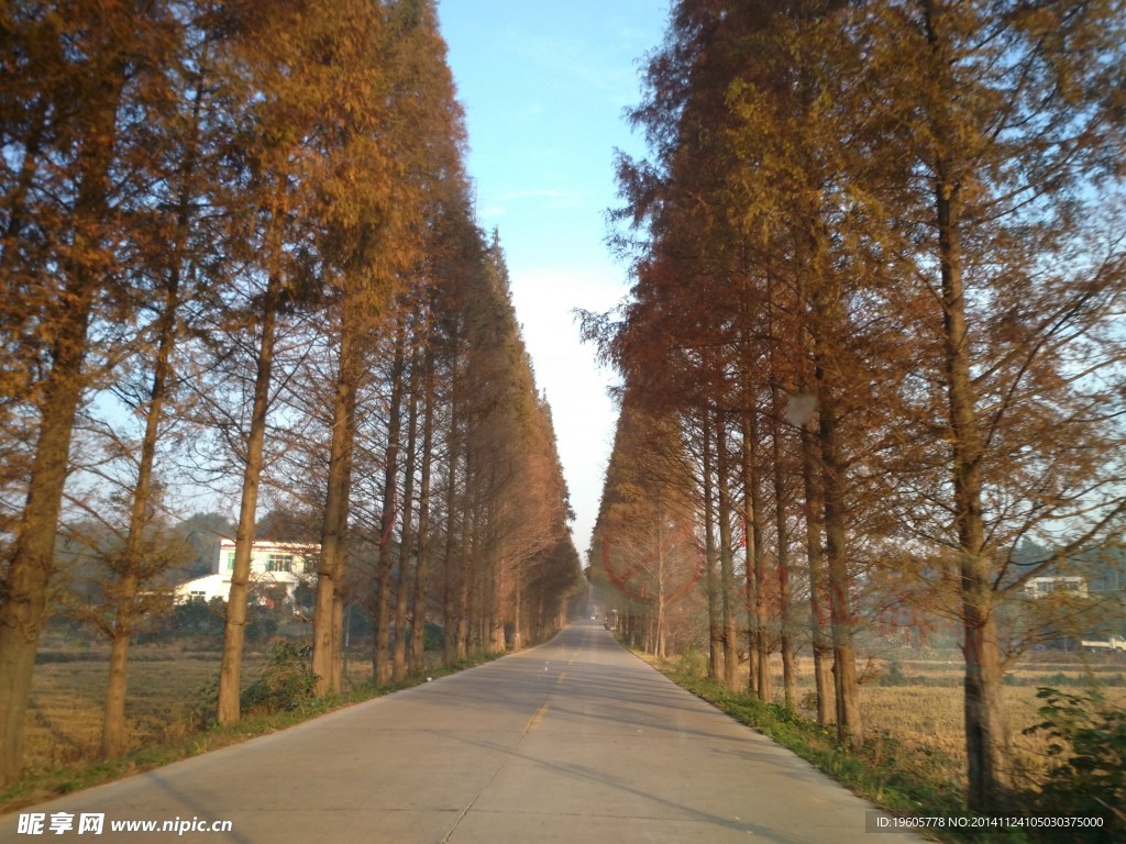 秋天的公路