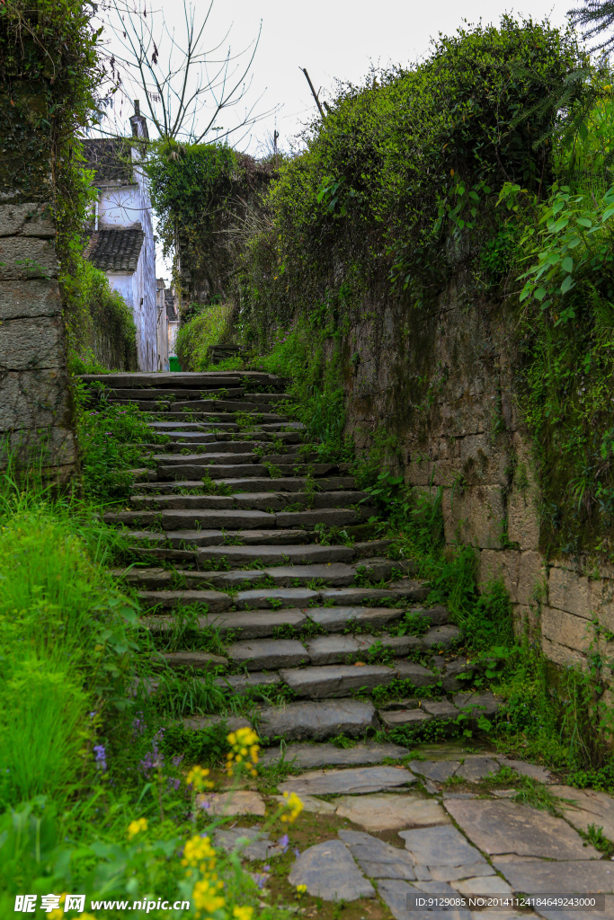 婺源漳村