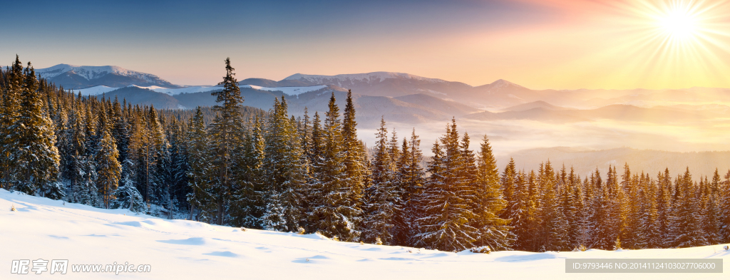 冬季雪景