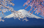 日本富士山