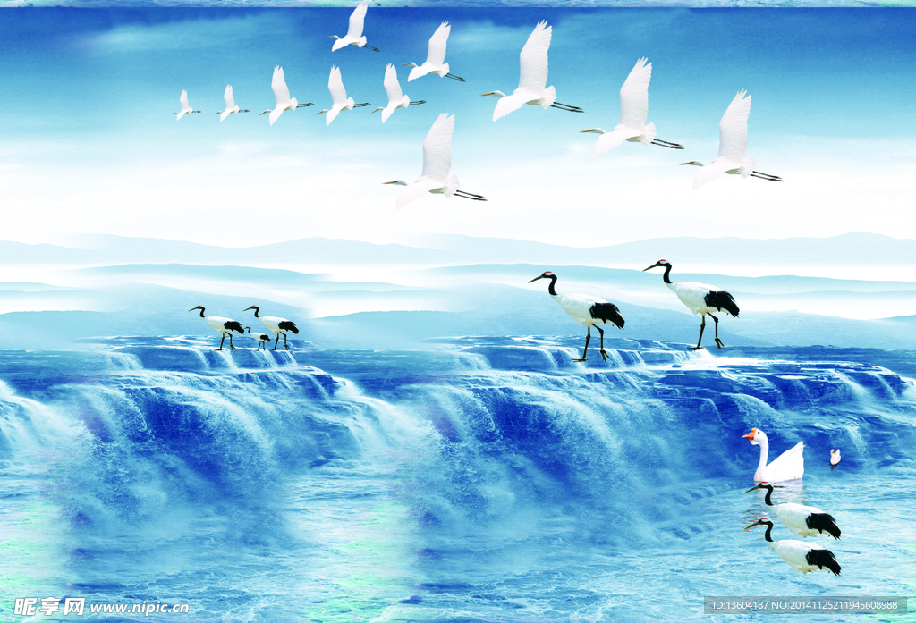 海鸥