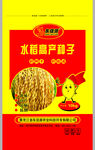 水稻种子