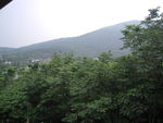 动物园风景