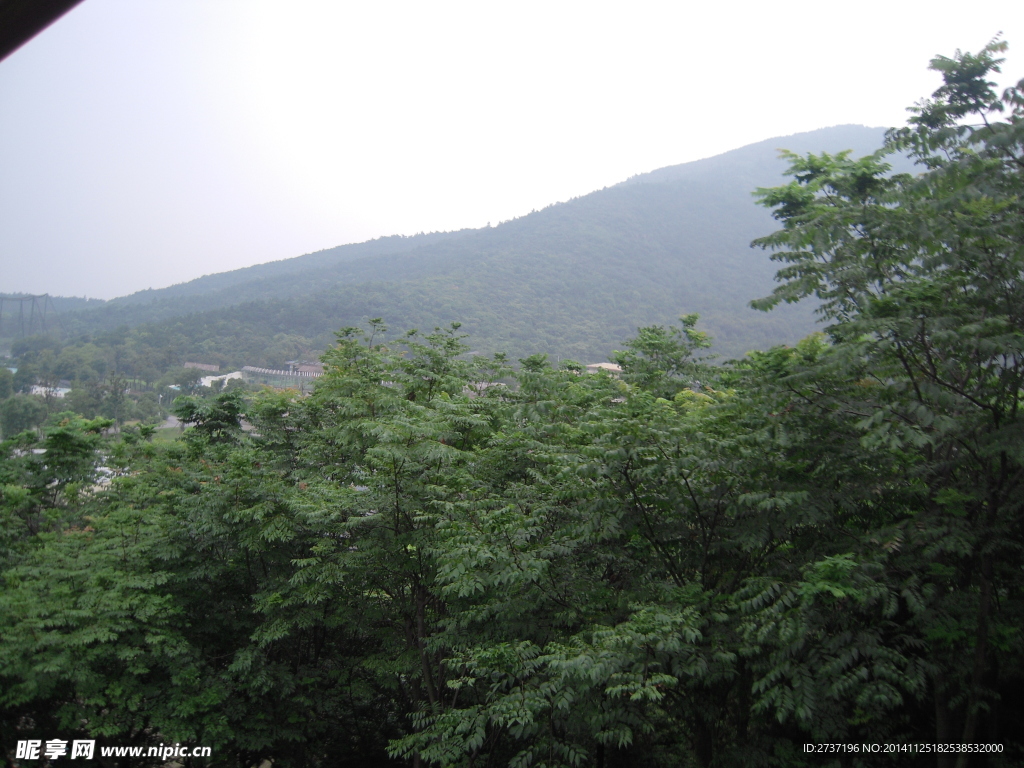 动物园风景