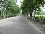 公路