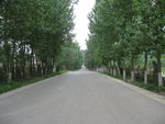 公园风景