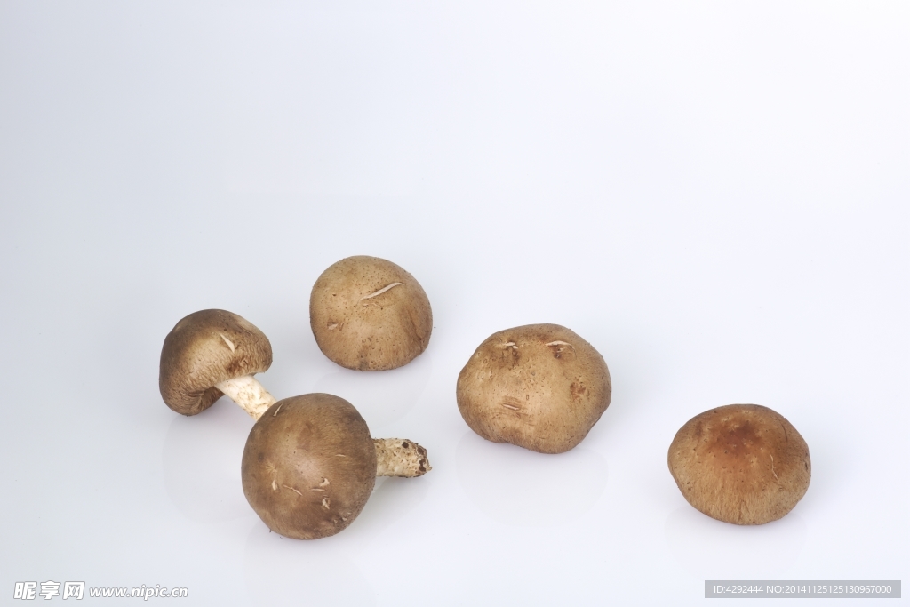 新鲜蘑菇