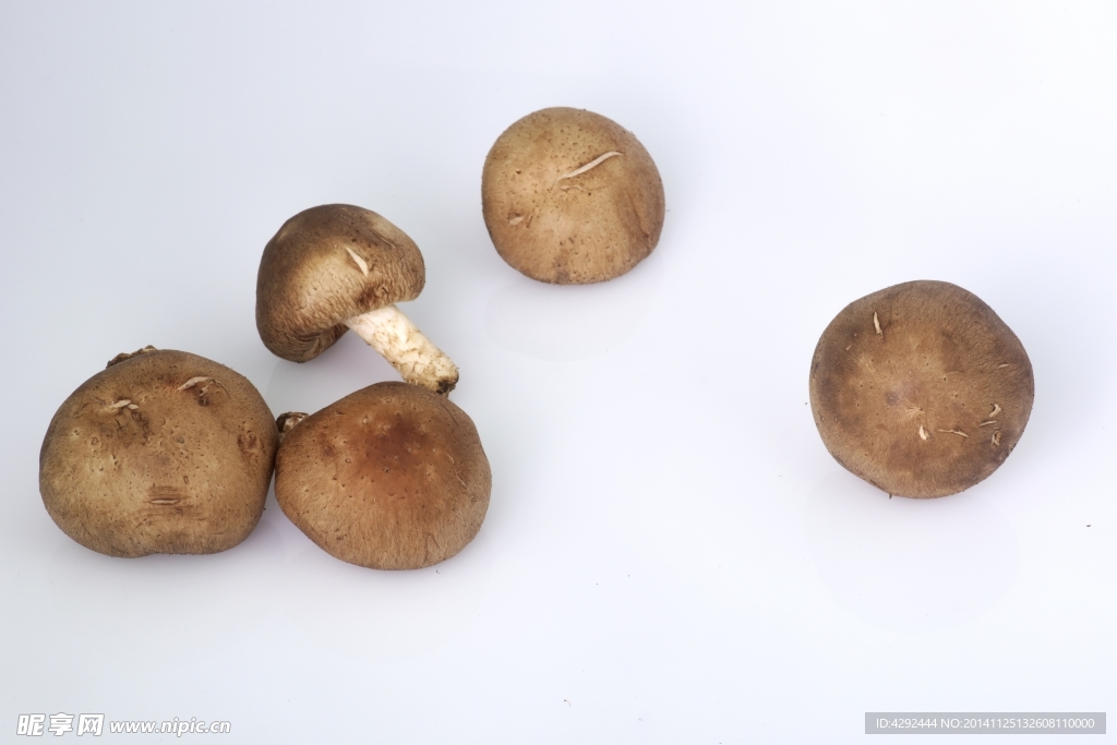 新鲜蘑菇