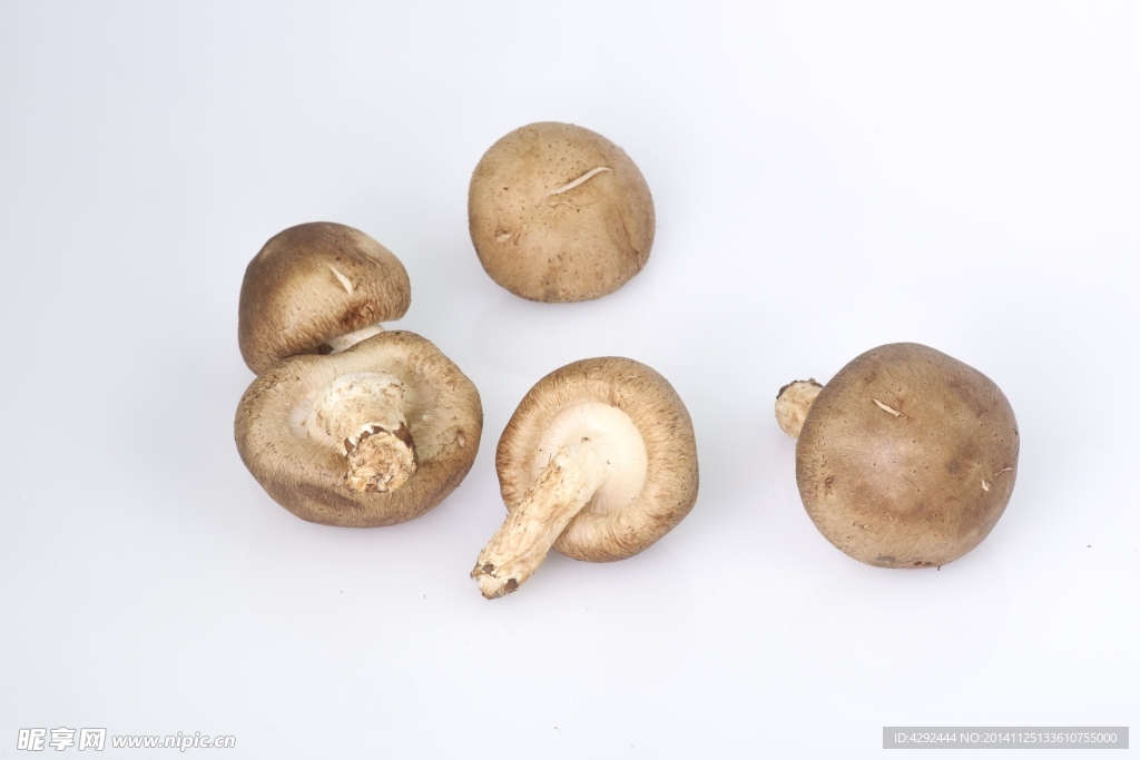 新鲜蘑菇