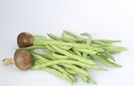 豆角和蘑菇