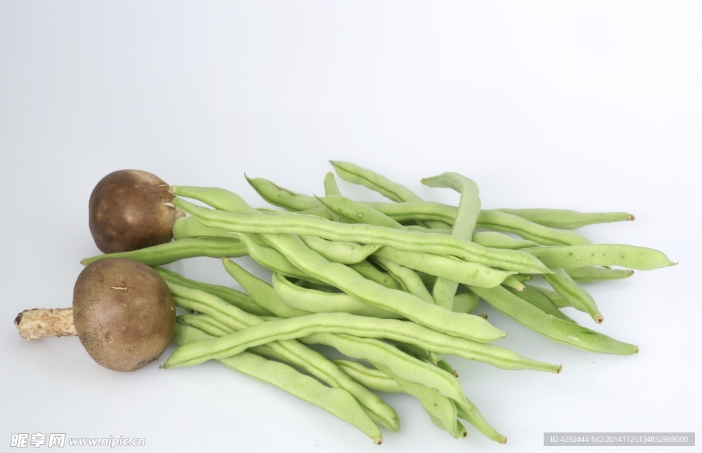 豆角和蘑菇