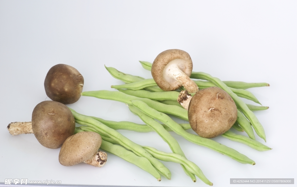 蘑菇和豆角