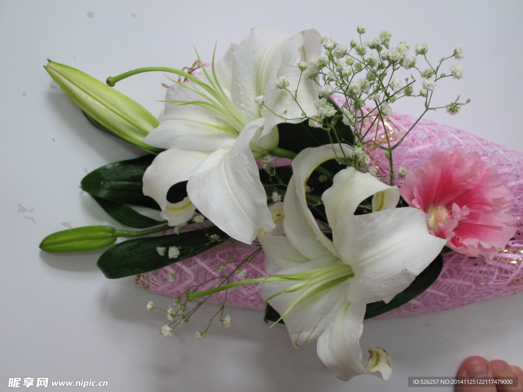 百合花