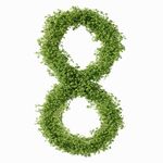 数字八