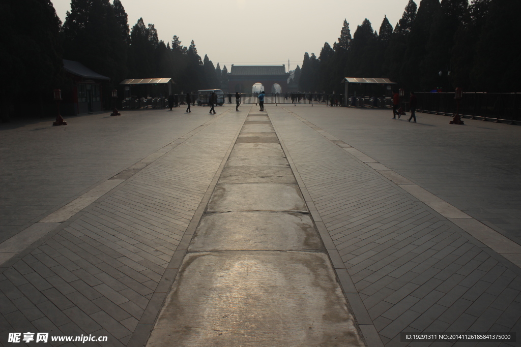 树木通道风景