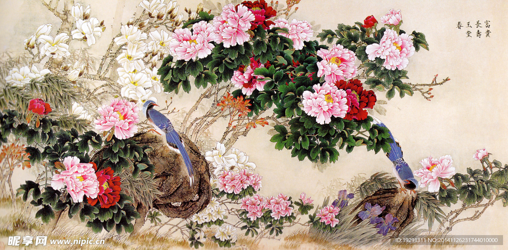 花鸟国画