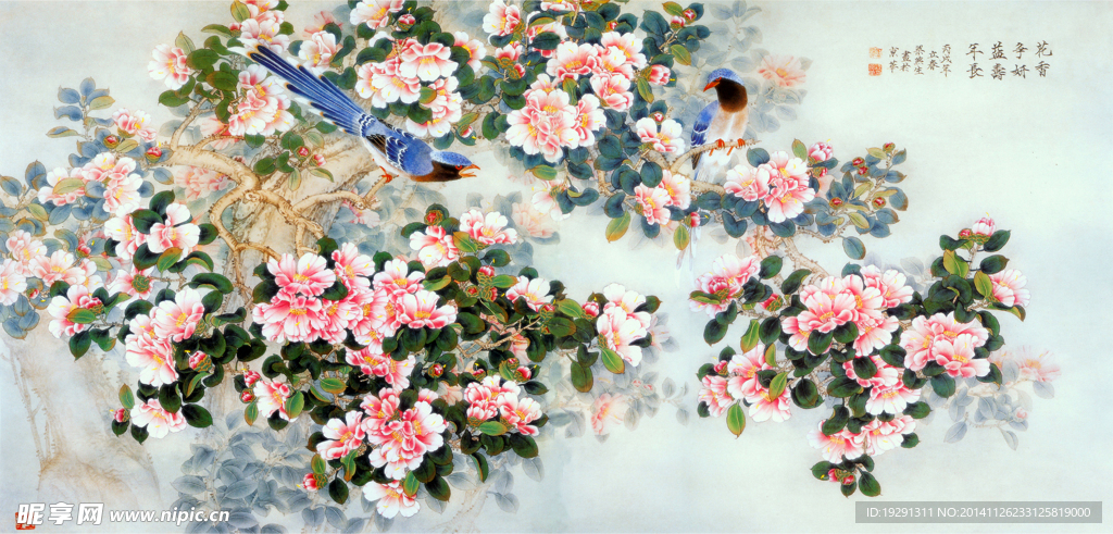 花鸟国画