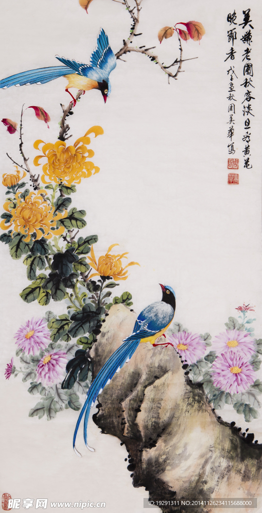 花鸟国画