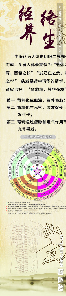 经络养生