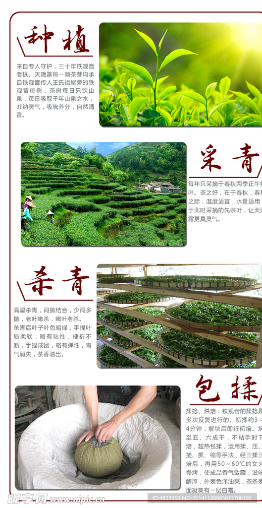 制茶工艺