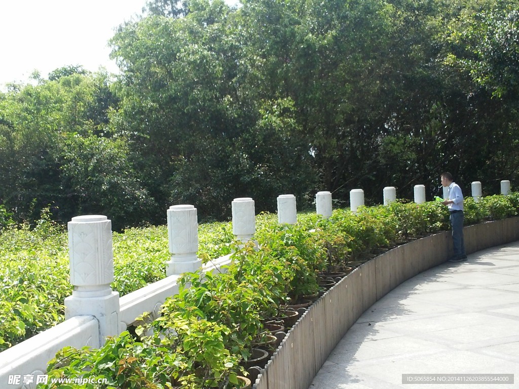 白玉栏杆