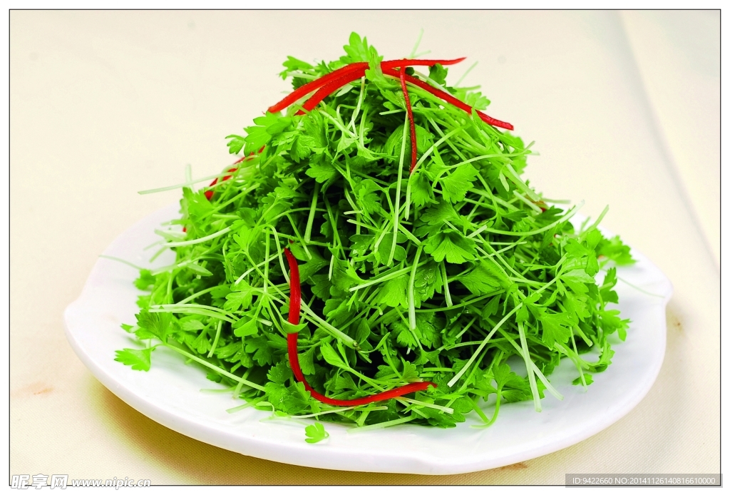 香拌香芹苗