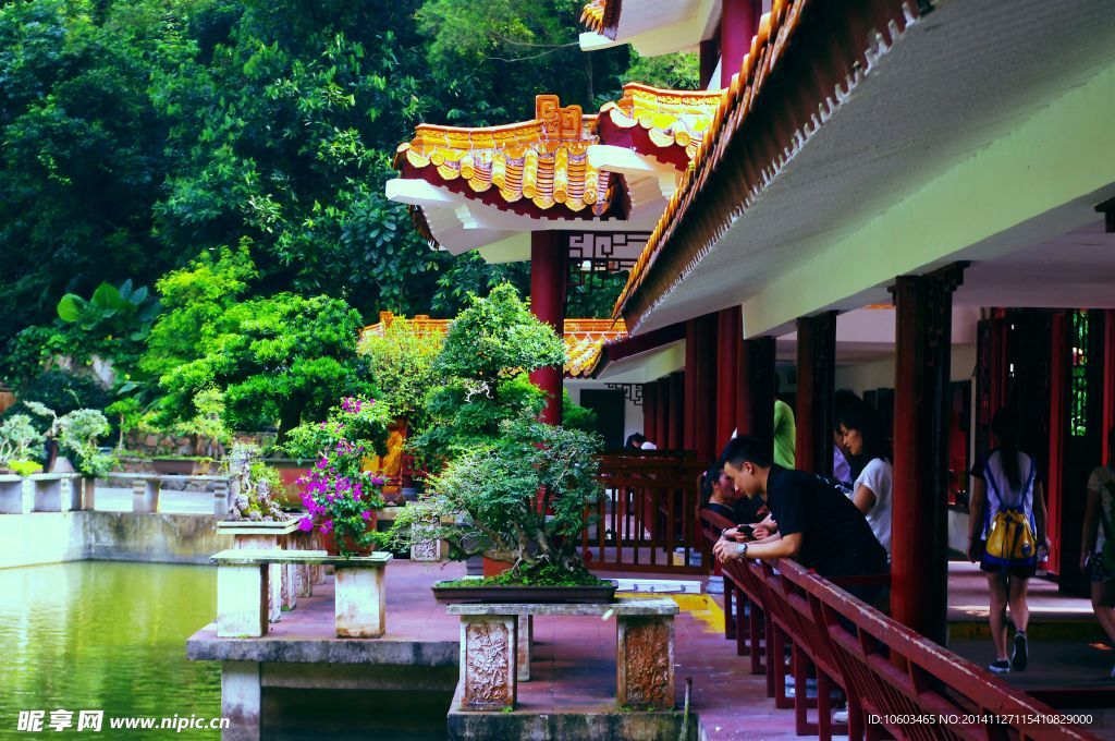 盆景天地 植物观光