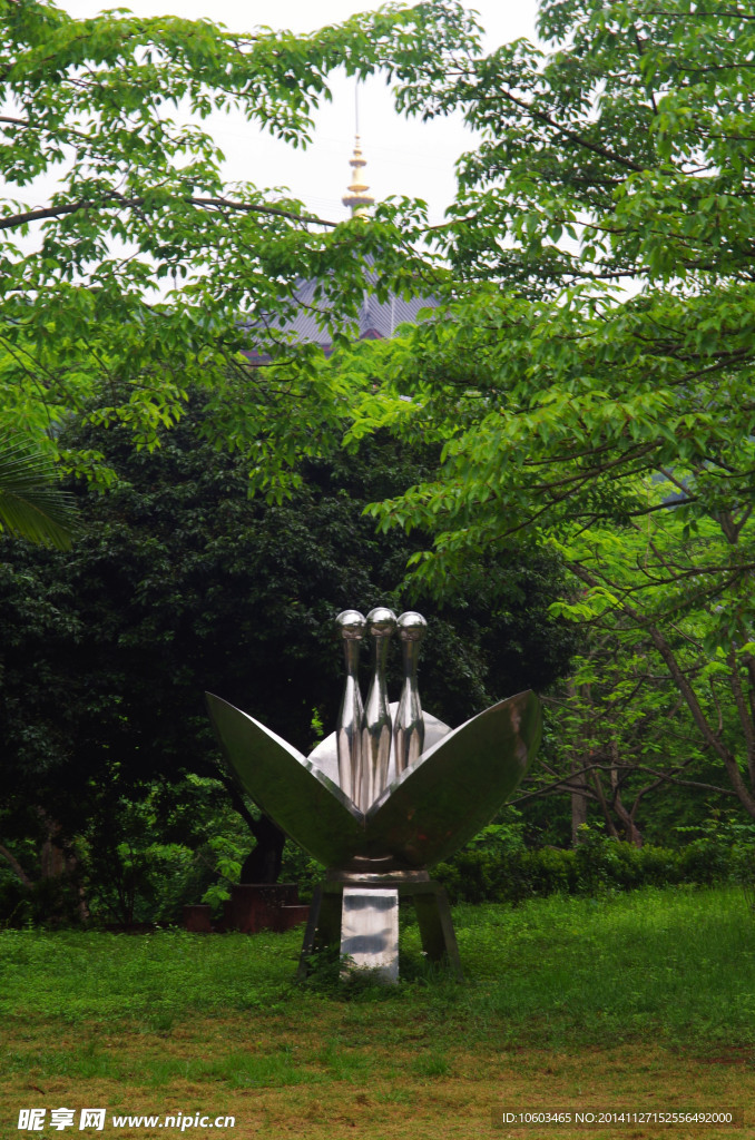 园山风景 针锋