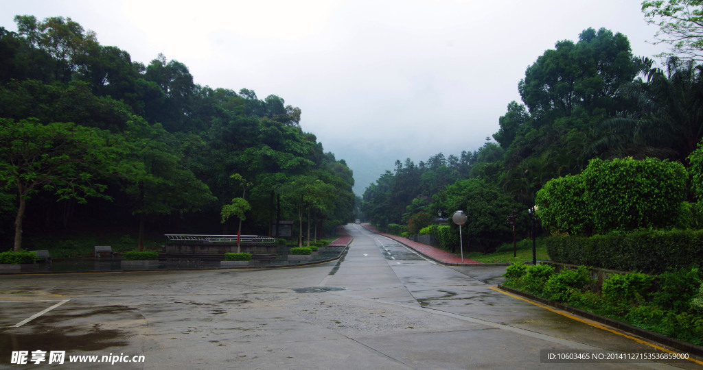 园山风光交通风景