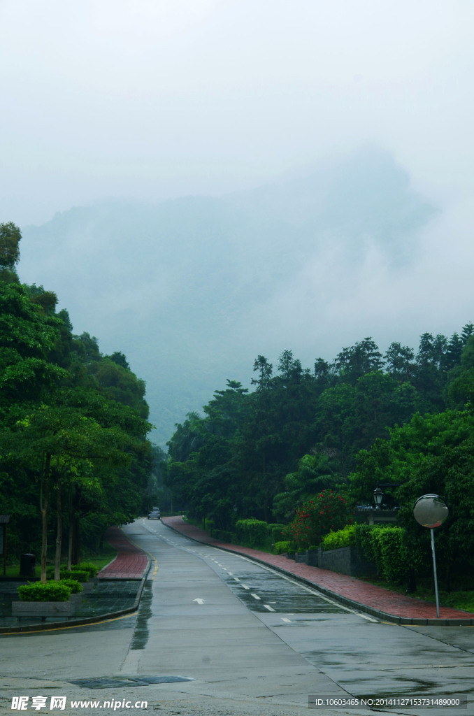 园山风光交通风景