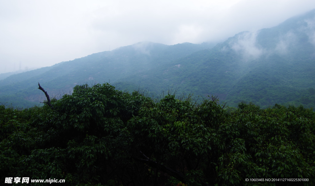 园山烟雨