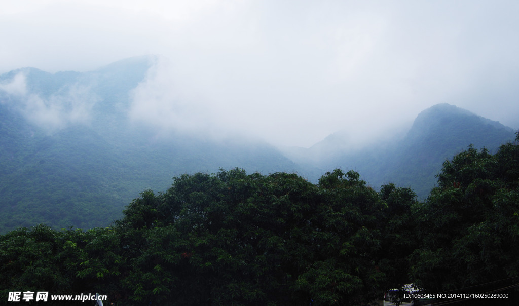 园山烟雨