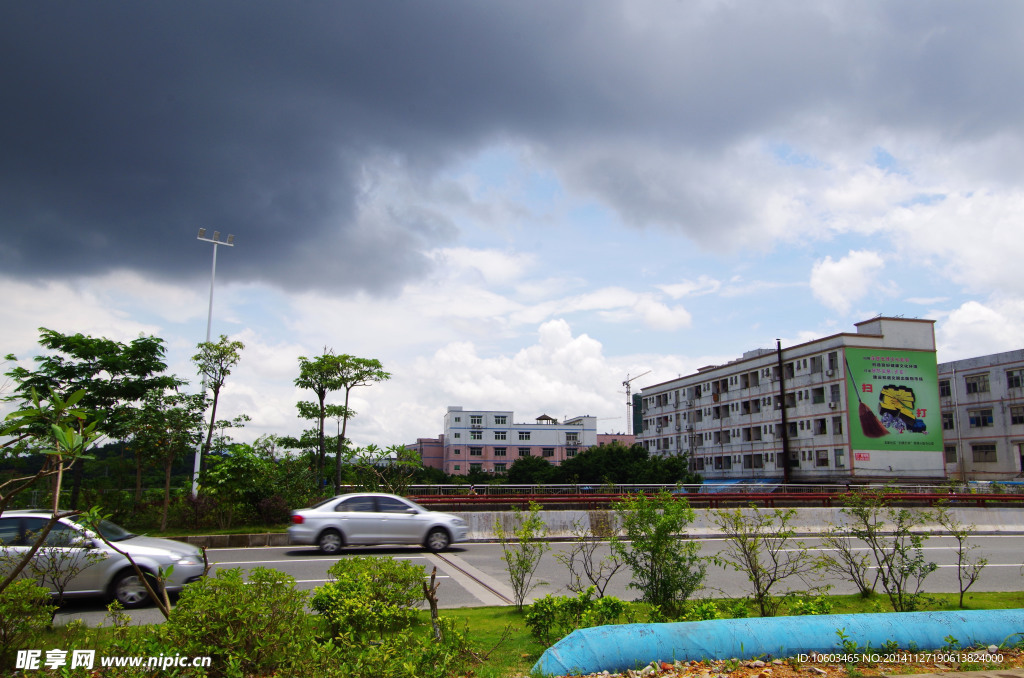 城市道路 绿化景观